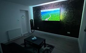 Modern Cozy One Bedroom Apartment